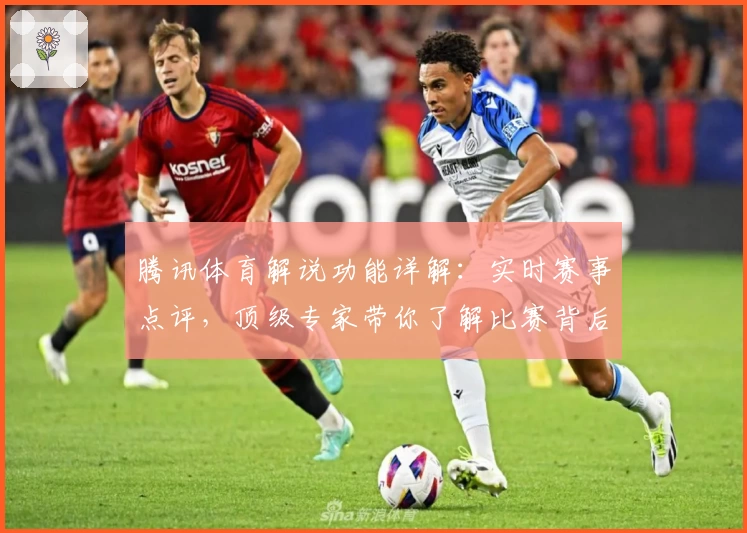 腾讯体育解说功能详解：实时赛事点评，顶级专家带你了解比赛背后故事